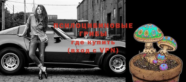 стаф Баксан