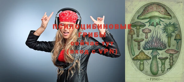 стаф Баксан