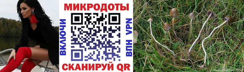 Галлюциногенные грибы мицелий  кракен маркетплейс  маркетплейс как зайти  Черепаново 